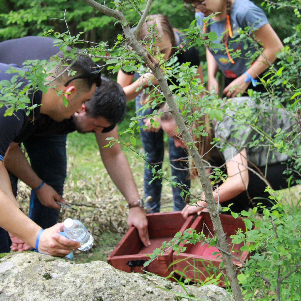 Vitosha Forest Quest – приключение за малки и големи в гората