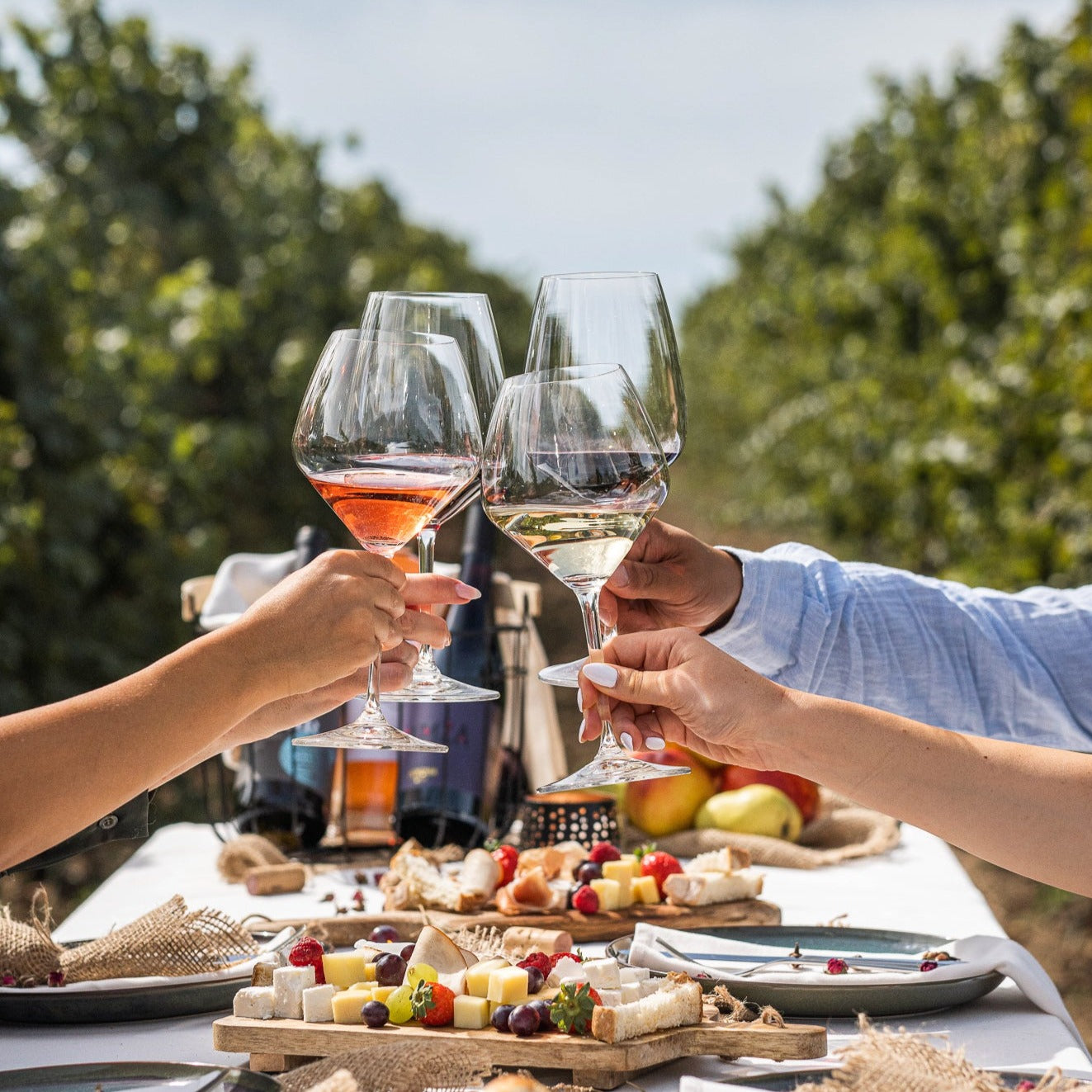 Дегустация на вино за четирима в Bononia Estate Winery and Resort