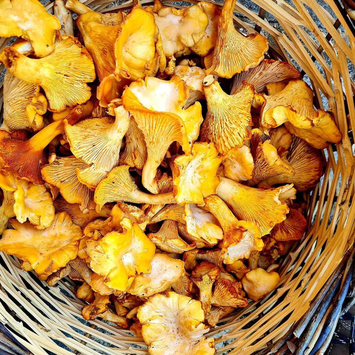 Вкуси Метеора: ексклузивен частен тур с винени и кулинарни дегустации, за истински гастрономи! Гърция