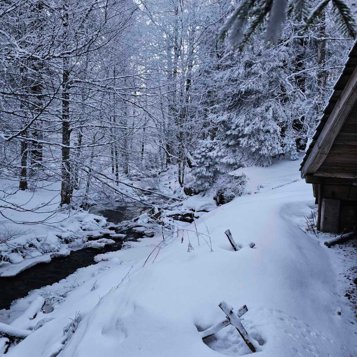 Екстремно приключение - технично трасе с моторни шейни