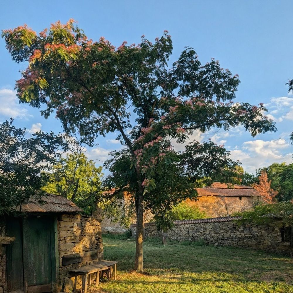 Почивка за приятели в Индилия - уют, вдъхновение и природа