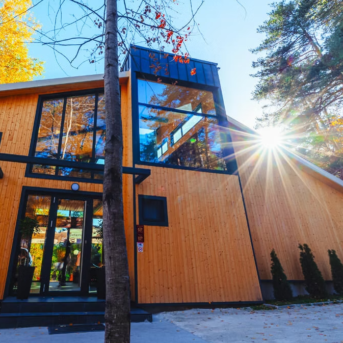 Тайното пътуване. Горска магия сред древните Родопи.