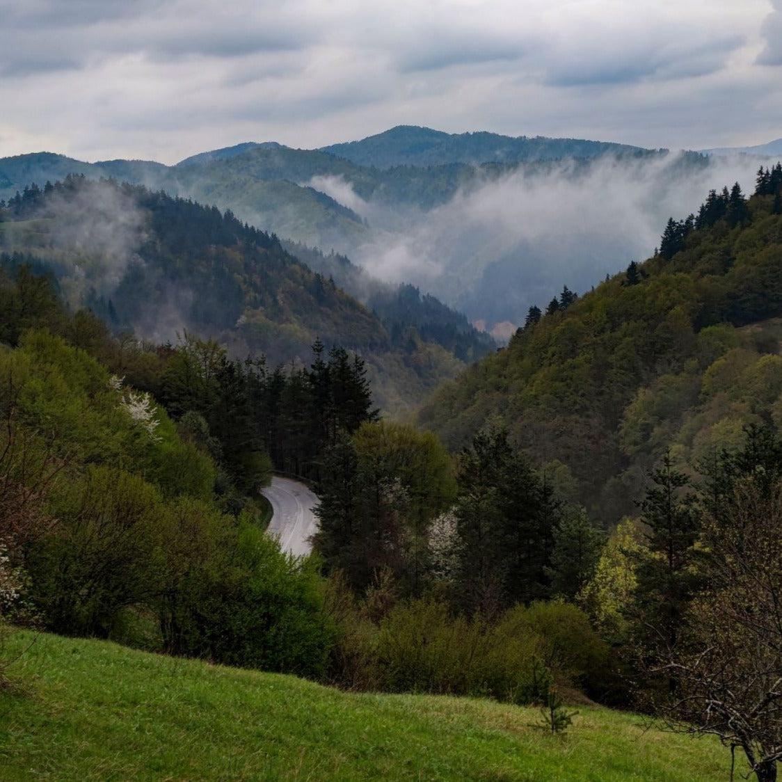 Работилница за кус-кус и синдермьо за двама. Могилица.