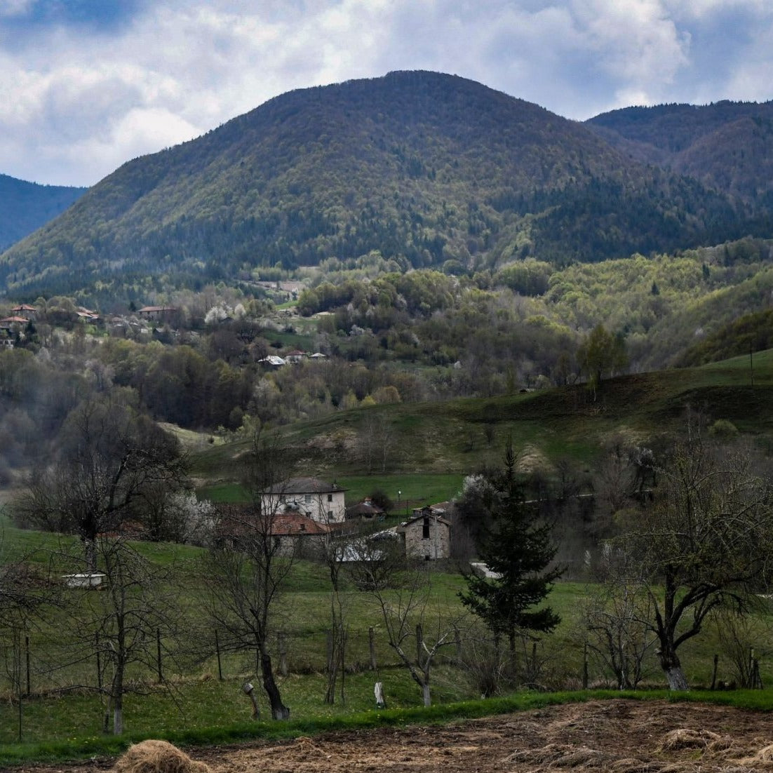 Работилница за кус-кус и синдермьо за двама. Могилица.