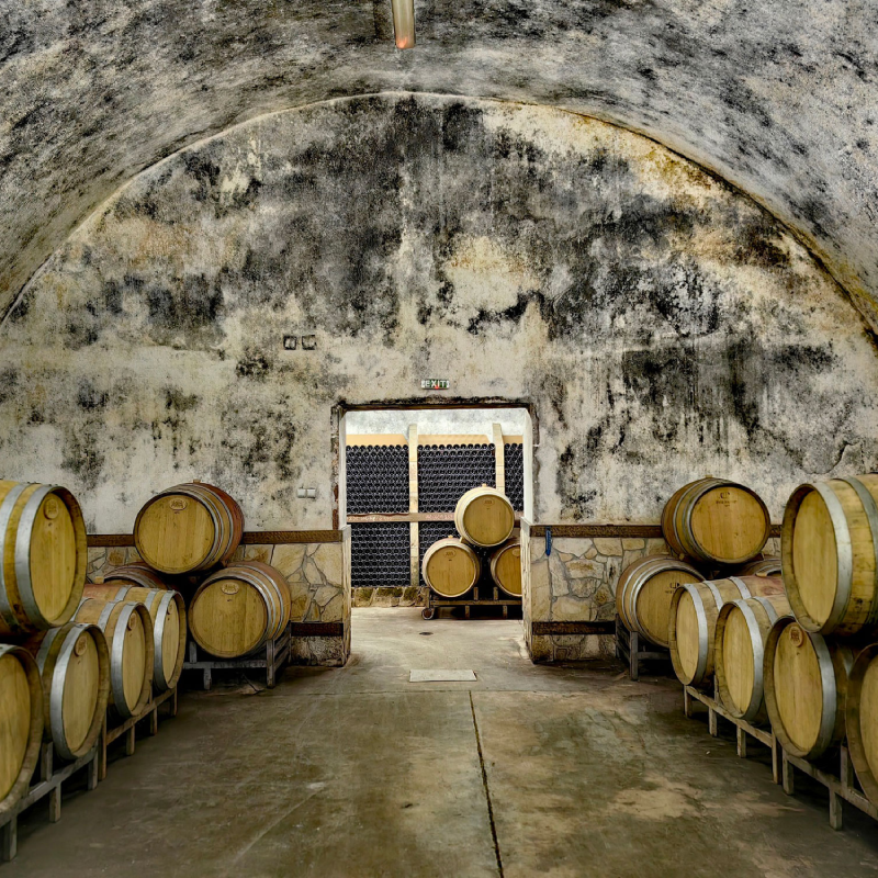 "Renaissance" за двама