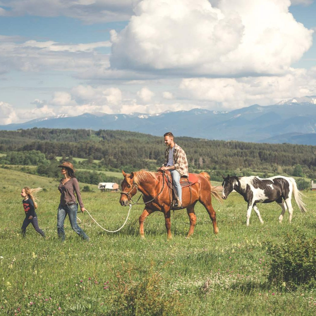 Този див, див Запад! Пакет индивидуални уроци по езда на мустанг за начинаещи в автентично ранчо. Ковачевци