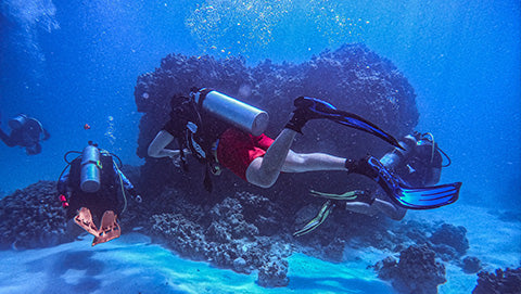 Let’s go to the beach! It’s time for some underwater experiences – with the little secrets of the divers