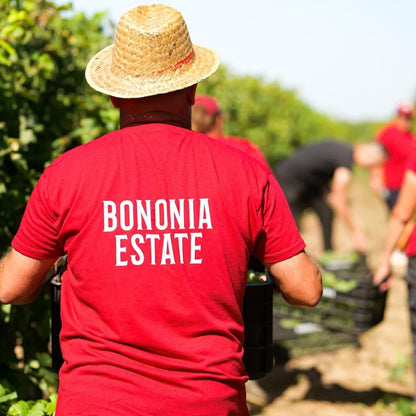 Дегустация на вино за двама в Bononia Estate Winery and Resort