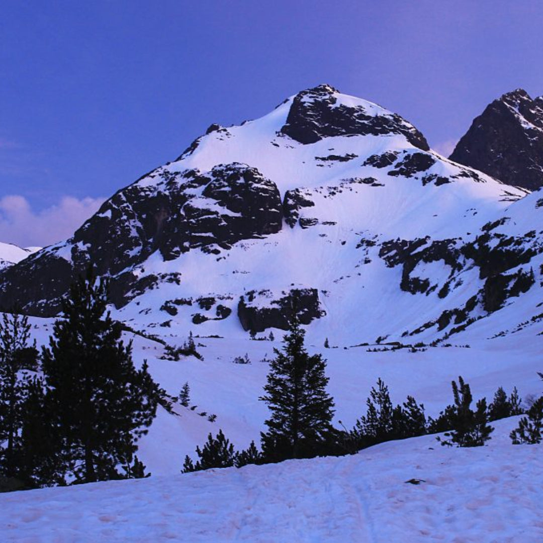 Открий красотата на България! Зимно изкачване на Мальовица