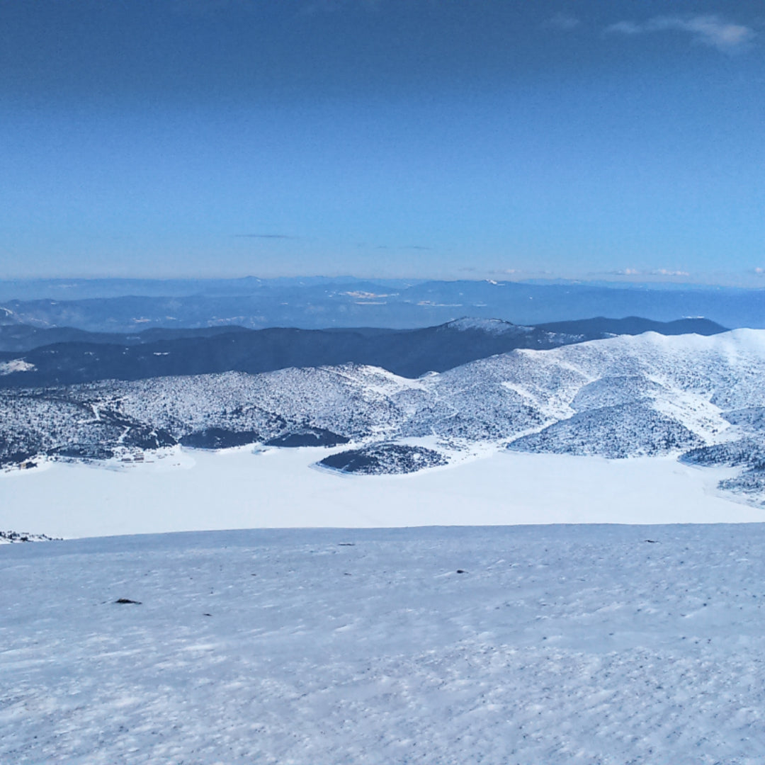 Опознай красотата на България! Планински преход до връх Белмекен със снегоходки