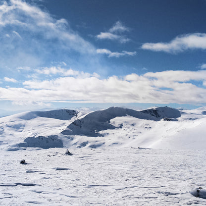 Опознай красотата на България! Планински преход до връх Белмекен със снегоходки
