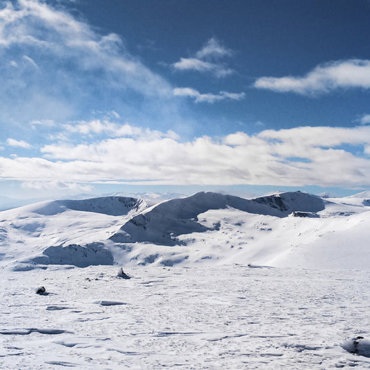 Опознай красотата на България! Планински преход до връх Белмекен със снегоходки