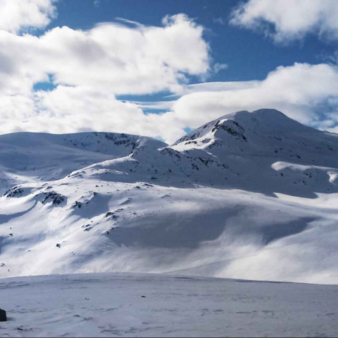 Опознай красотата на България! Планински преход до връх Белмекен със снегоходки