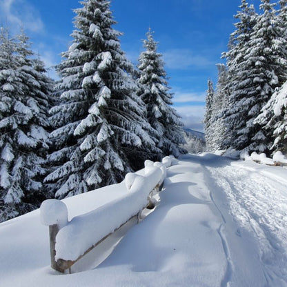 Открий красотата на България! Планински преход до хижа Македония, резерват Парангалица и Голям Мечи връх