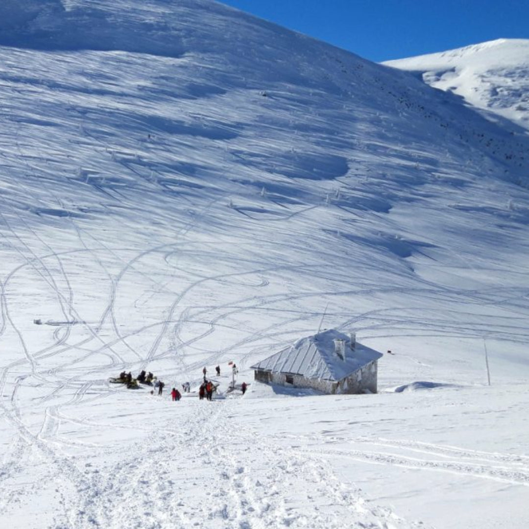 Открий красотата на България! Планински преход до хижа Македония, резерват Парангалица и Голям Мечи връх