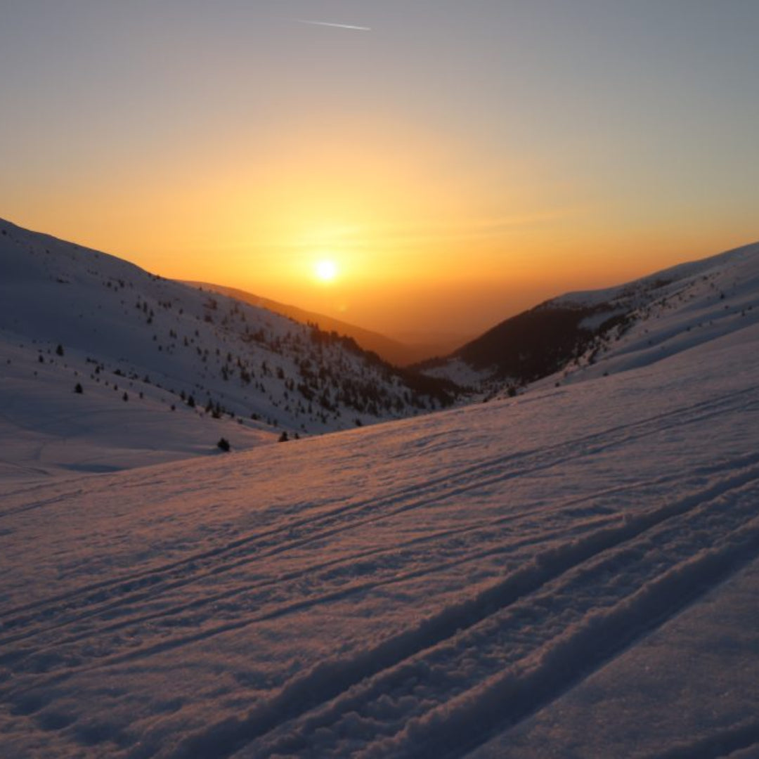 Открий красотата на България! Планински преход до хижа Македония, резерват Парангалица и Голям Мечи връх