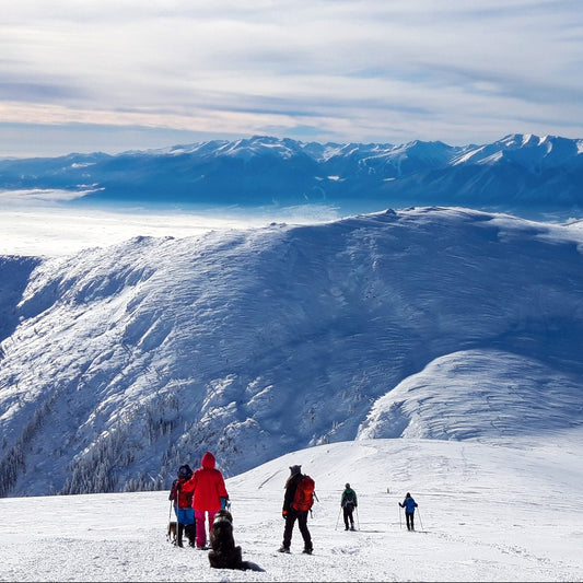 Открий красотата на България! Планински преход до хижа Македония, резерват Парангалица и Голям Мечи връх