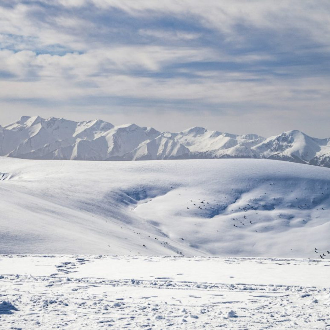 Открий красотата на България! Планински преход до хижа Македония, резерват Парангалица и Голям Мечи връх
