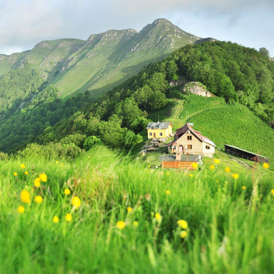 Открий красотата на България! Планински преход до хижа Мазалат и Пеещите скали