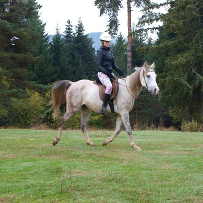 Урок по конна езда или конен преход край Боровец