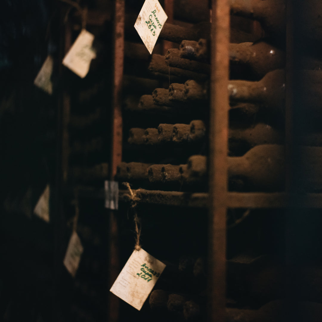 По пътя на Мелнишкото вино - шестстепенна дегустация на вино за двама. Мелник