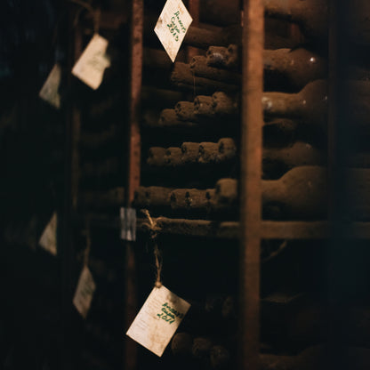 По пътя на Мелнишкото вино - шестстепенна дегустация на вино за двама. Мелник