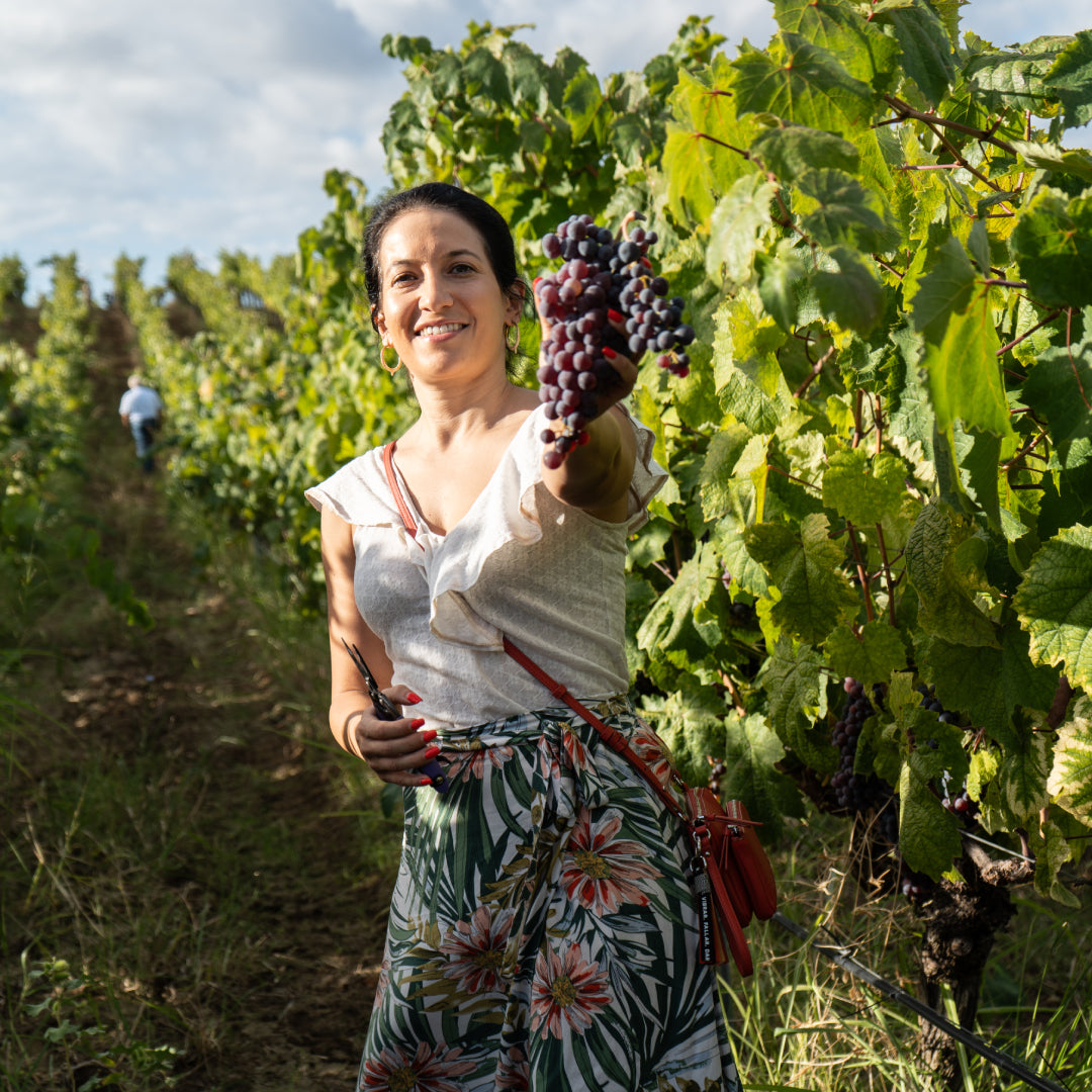 По пътя на Мелнишкото вино - шестстепенна дегустация на вино за двама. Мелник