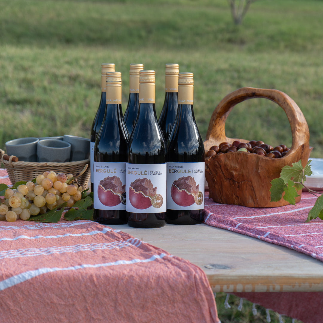 По пътя на Мелнишкото вино - шестстепенна дегустация на вино за двама. Мелник