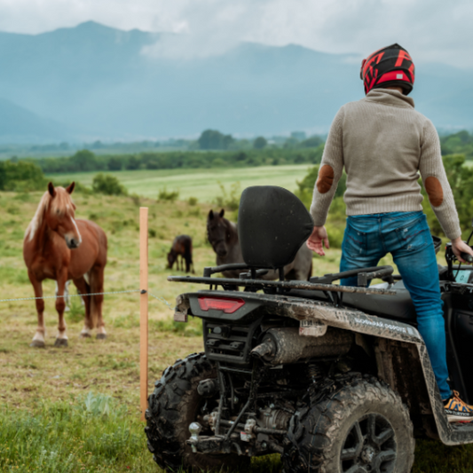 Конна езда и приключения сред природата в Пловдив 