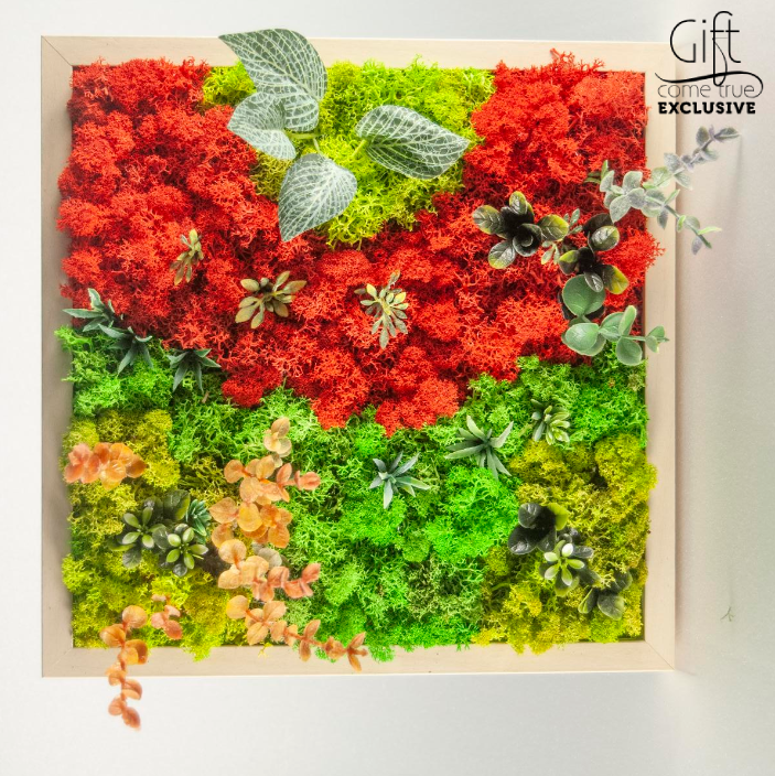 Уникални зелени картини от скандинавски мъх