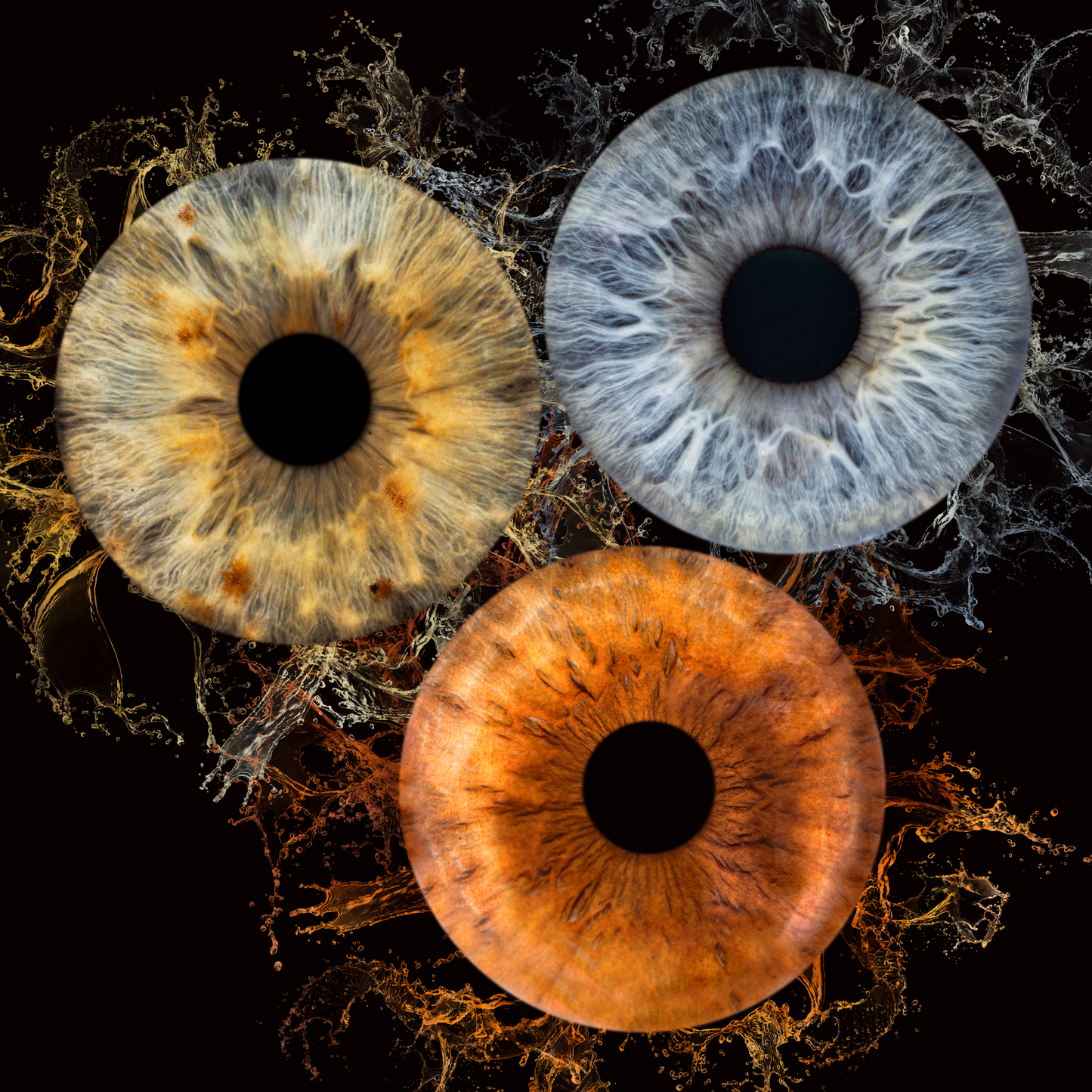 Очите, уловени като изкуство.  Ирисова фотография Русе