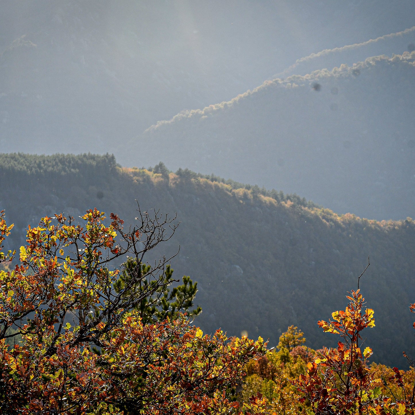 Еко приключение в Дебели Даб за двама: Две нощувки с живописна разходка