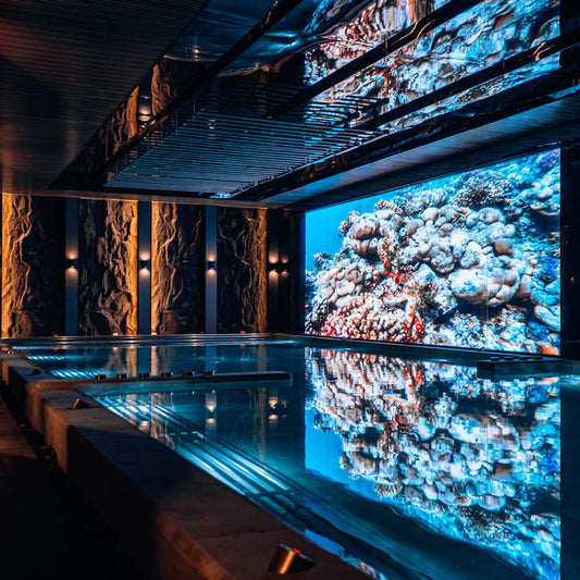 spa-pulse-interaktiven-basein