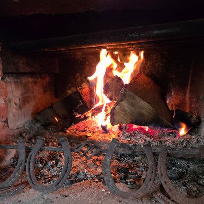 Рисуване, уют и магията на конете в Боровец