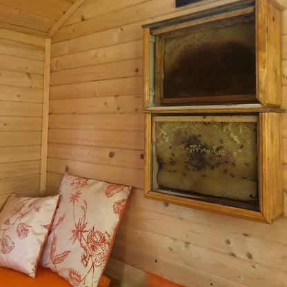 Посещение на пчелна къща – за силна имунна система и енергия