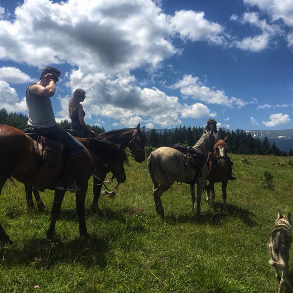 Конна езда в Рила за начинаещи - в галоп към щастието. 5 или 10 урока. Ранчо Рила